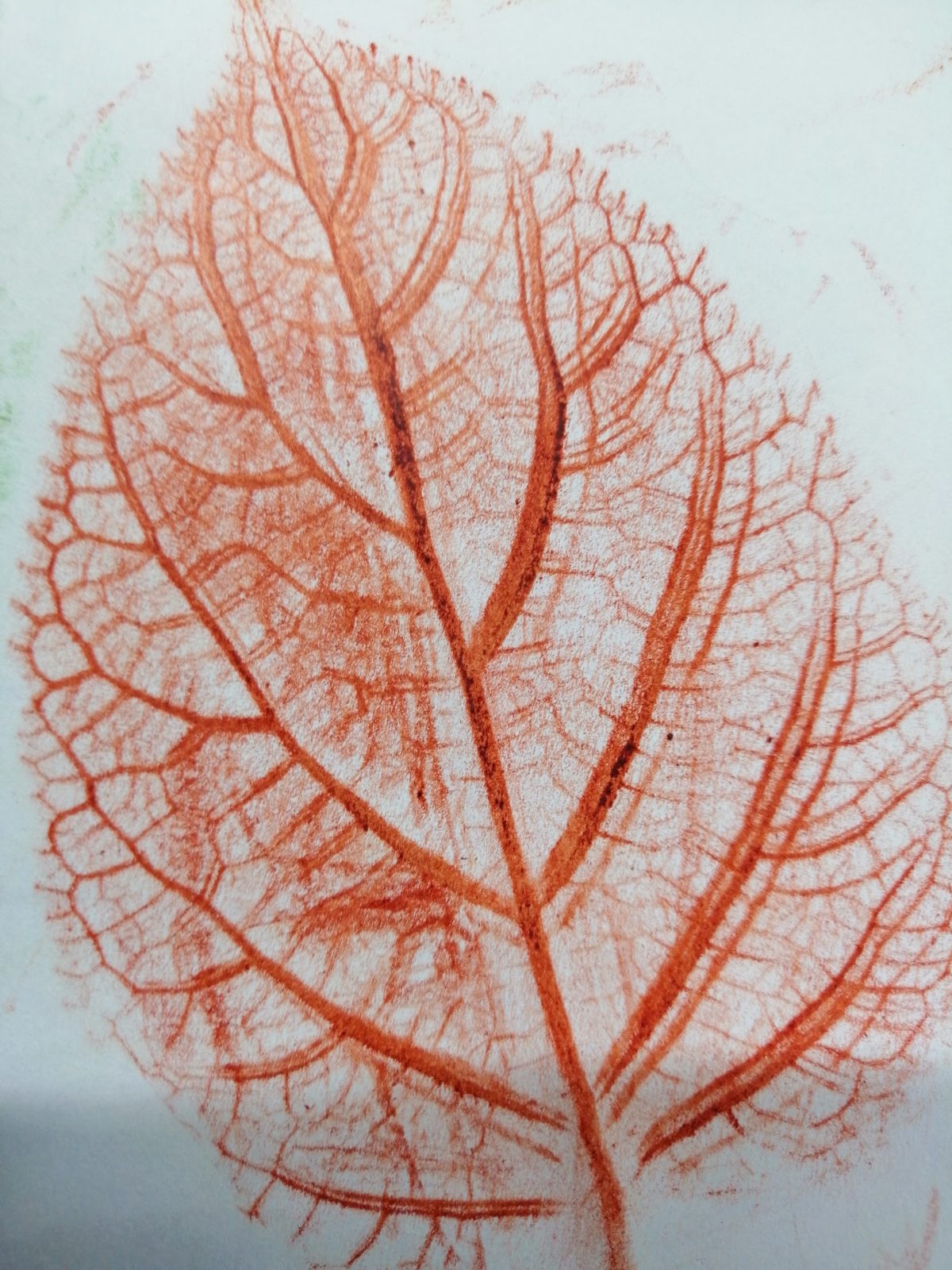 Kompozycja plastyczna struktury jesiennego liścia w układzie diagonalnym. Praca wykonana w technice frotażu z użyciem barw ciepłych.