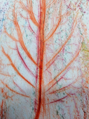 Kompozycja plastyczna struktury fragmentu jesiennego liścia w układzie centralnym. Praca wykonana w technice frotażu z użyciem barw ciepłych i zimnych.