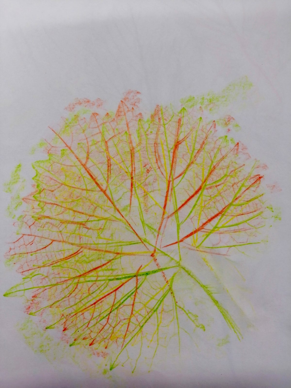 Kompozycja plastyczna struktury jesiennego liścia w układzie diagonalnym. Praca wykonana w technice frotażu z użyciem barw ciepłych i zimnych.