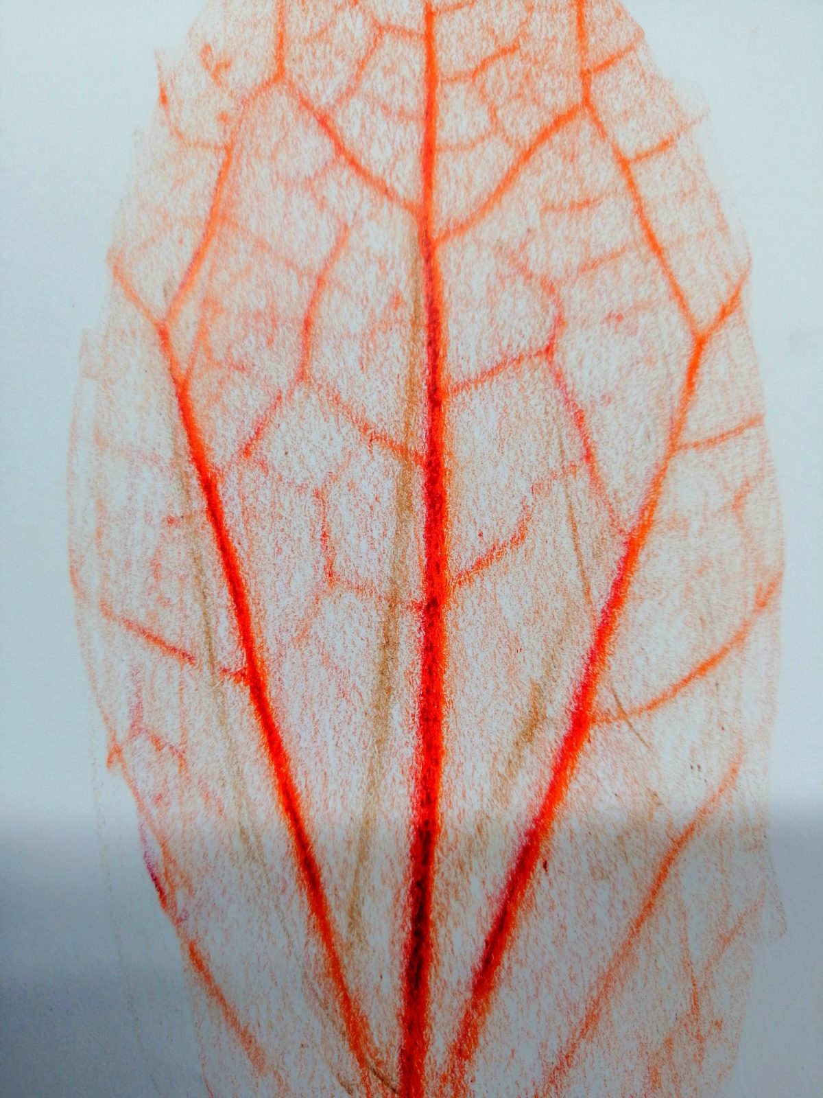 Kompozycja plastyczna struktury fragmentu jesiennego liścia w układzie centralnym. Praca wykonana w technice frotażu z użyciem barw ciepłych.