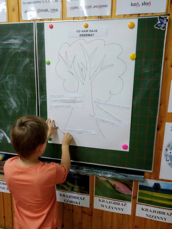 Chłopiec przyczepia do plakatu przedstawiającego drzewo informację na temat korzyści lasów