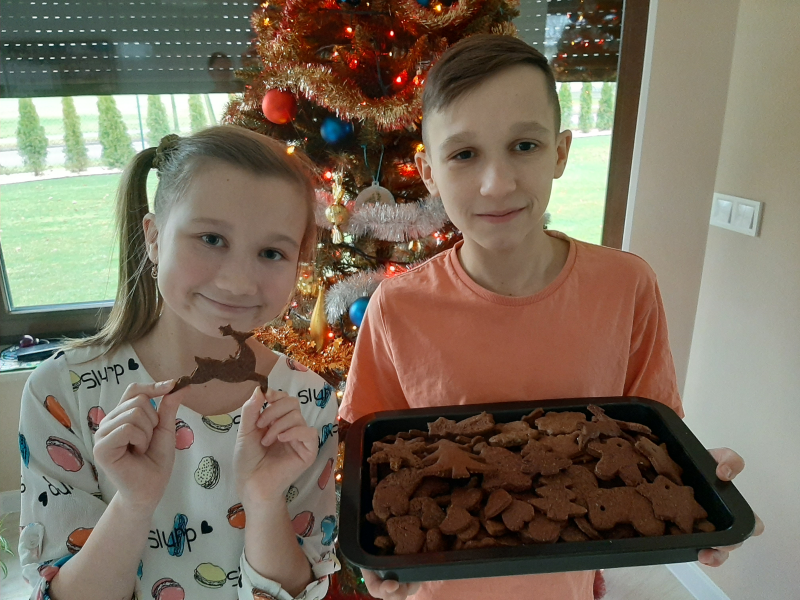Bartłomiej wraz z siostrą prezentują zdrową wersję świątecznych pierników