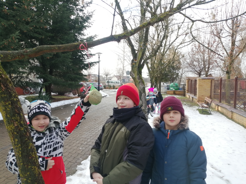 Trzech chłopców zawiesza na drzewie pokarm dla sikorek.