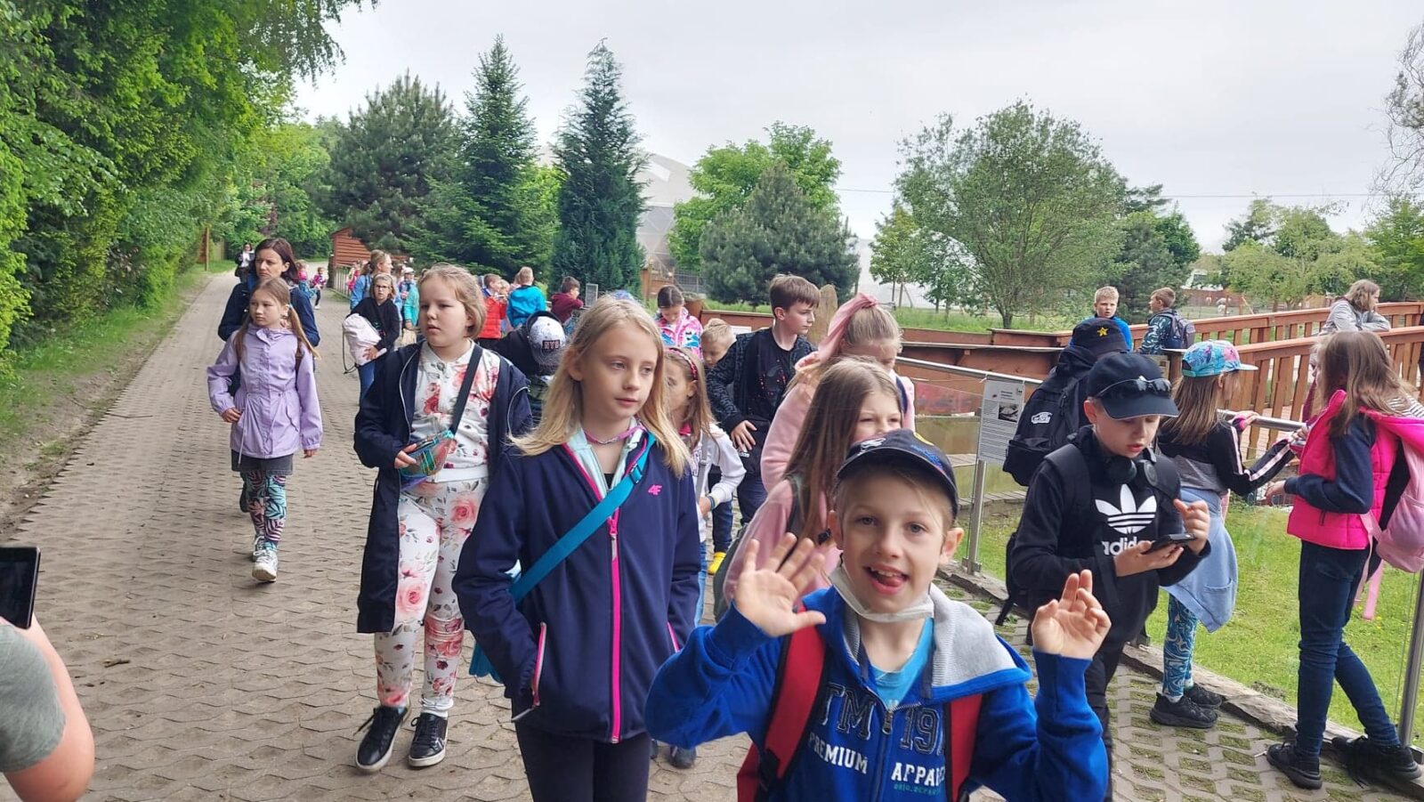 grupa dzieci idzie przez zoo
