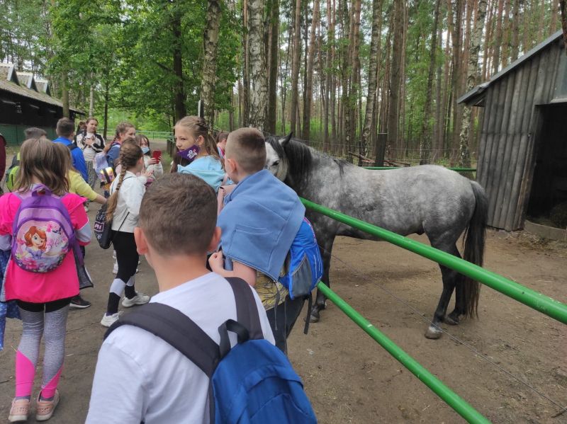 Dzieci przy zagrodzie konia