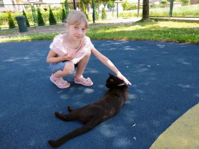 Dziewczynka głaszcze czarnego kota.