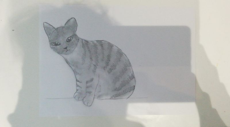 Rysunek kota, kompozycja centralna