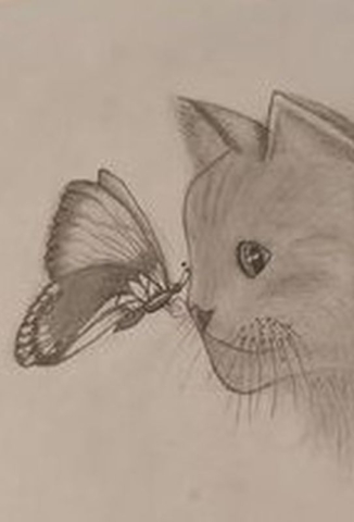 Rysunek głowy kota z motylkiem, kompozycja otwarta