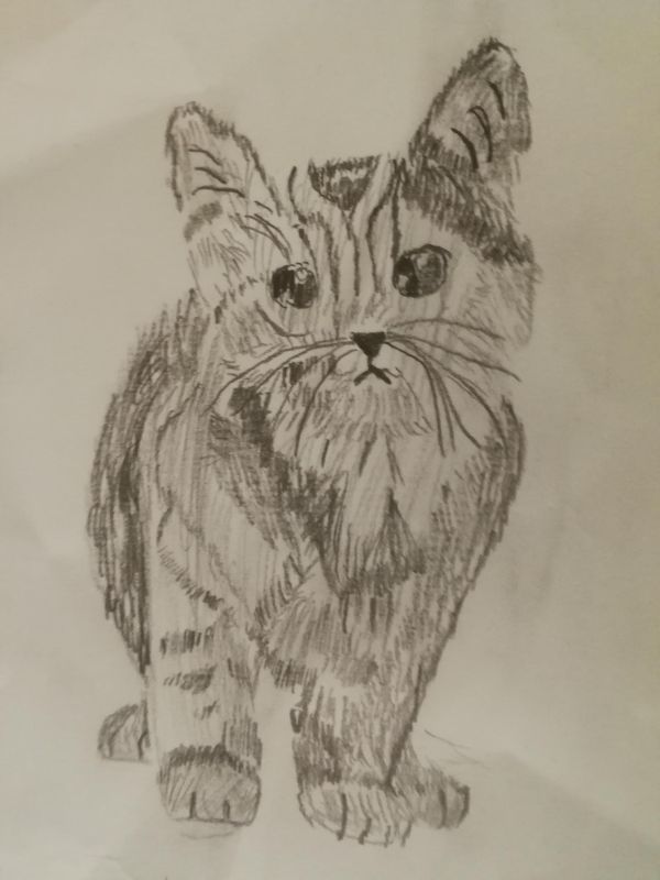 Rysunek kota, kompozycja centralna