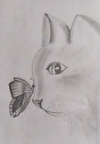 Rysunek głowy kota z motylkiem, kompozycja otwarta
