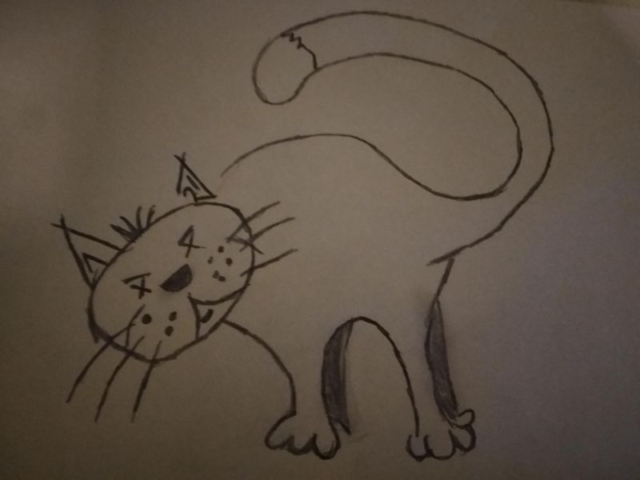 Rysunek linearny kota, kompozycja asymetryczna