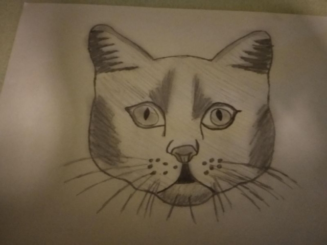 Rysunek głowy kota, kompozycja symetryczna