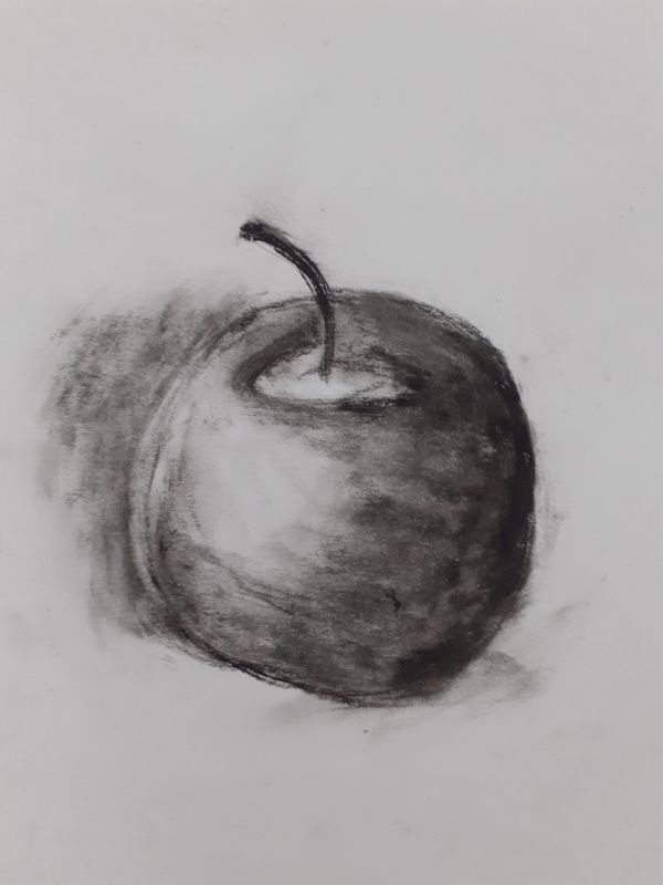 Martwa natura. Rysunek jabłka wykonany ołówkiem