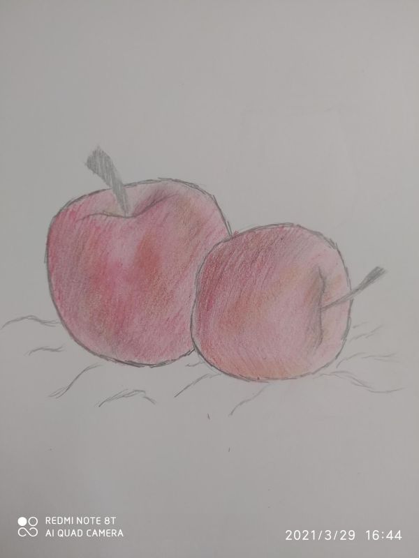 Martwa natura. Rysunek dwóch jabłek, wykonany kredkami