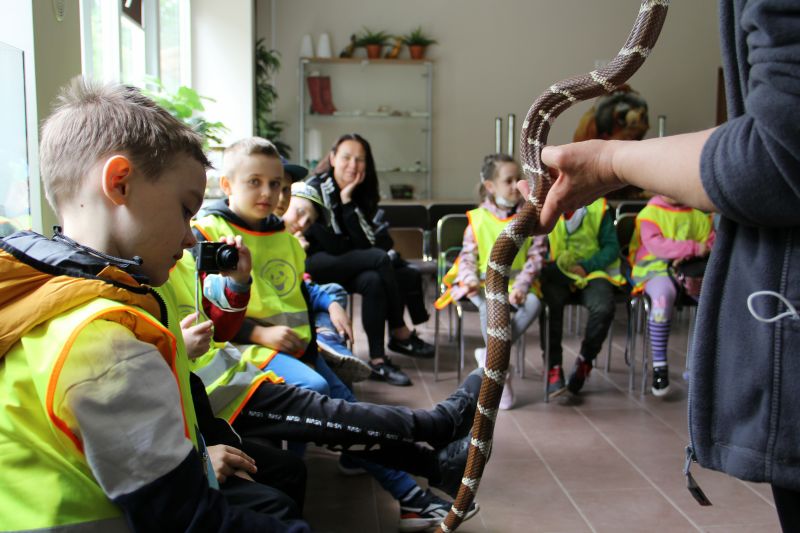 Przewodnik pokazuje dzieciom węża