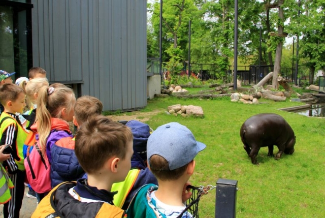 dzieci przyglądają się hipopotamowi