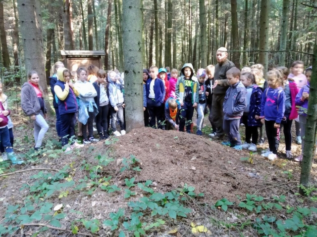 Leśniczy i uczniowie stoją dookoła mrowiska