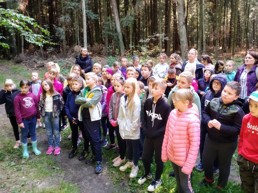 Grupa uczniów stoi na leśnej ścieżce