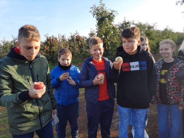 Uczniowie jedzą jabłka