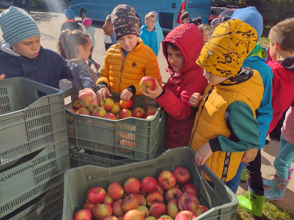 Dzieci częstują się jabłkami