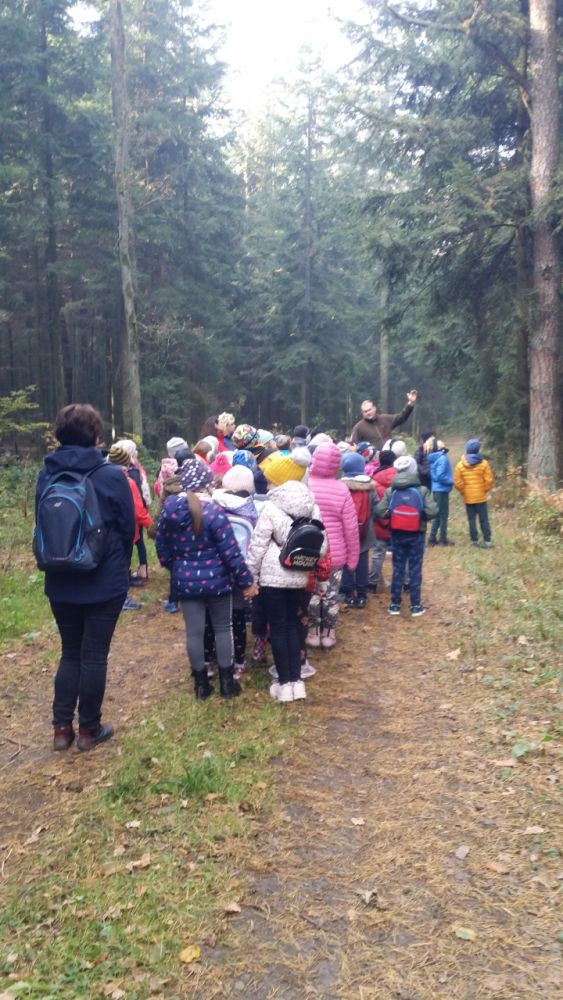 Uczniowie klas drugich-spacer po lesie.