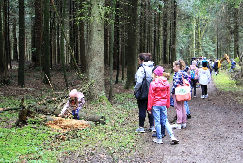 Dzieci idą ścieżka przez las