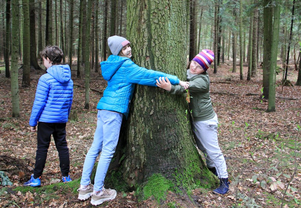 Dziewczynki obejmują drzewo