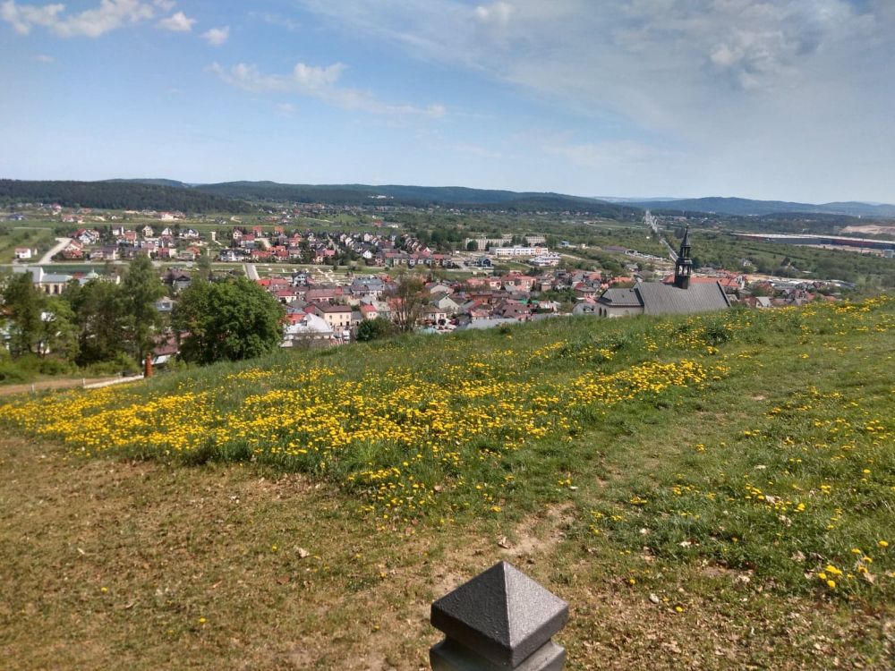 Panorama z zamku w Chęcinach