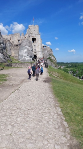 Uczniowie wchodzą na zamek w Ogrodzieńcu