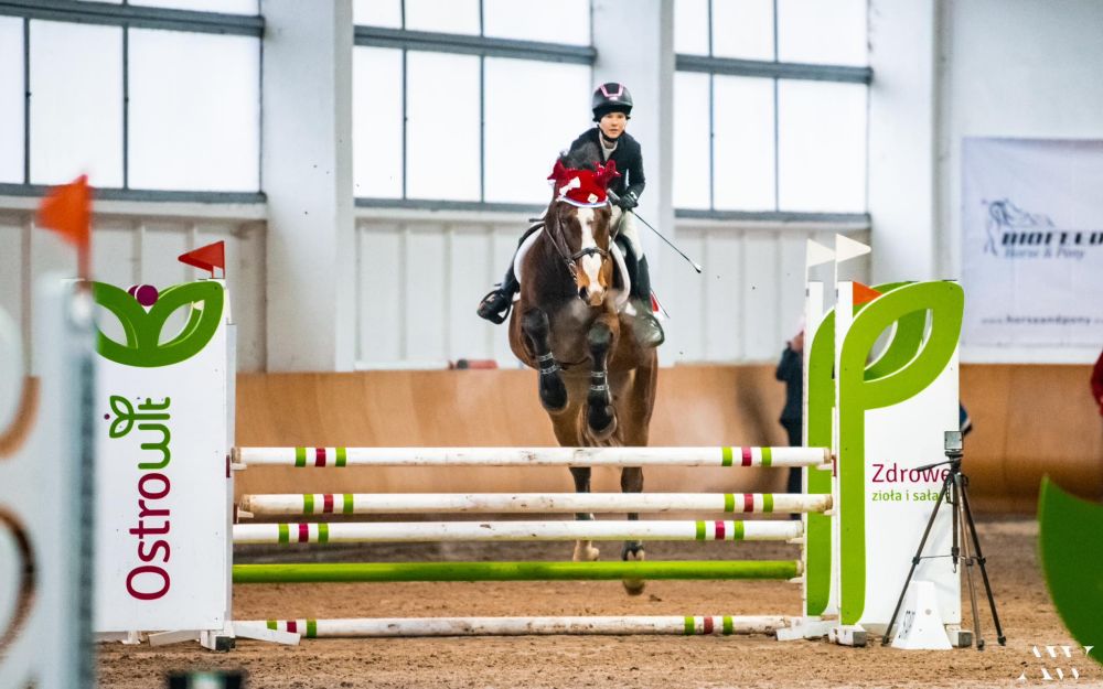 Koń wraz z dziewczyną na swoim grzbiecie skacze przez przeszkodę (widok z przodu)
