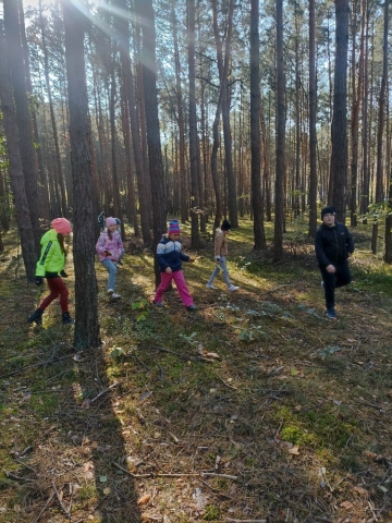 Dzieci chodzą po lesie.