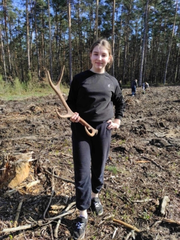Uczennica znalazła poroże podczas akcji sadzenia drzew